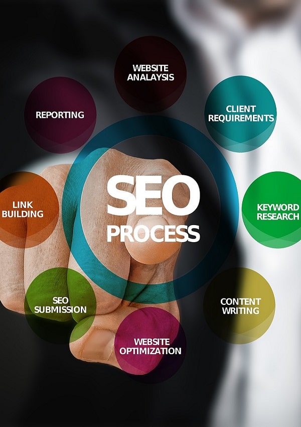 infografica servizi seo